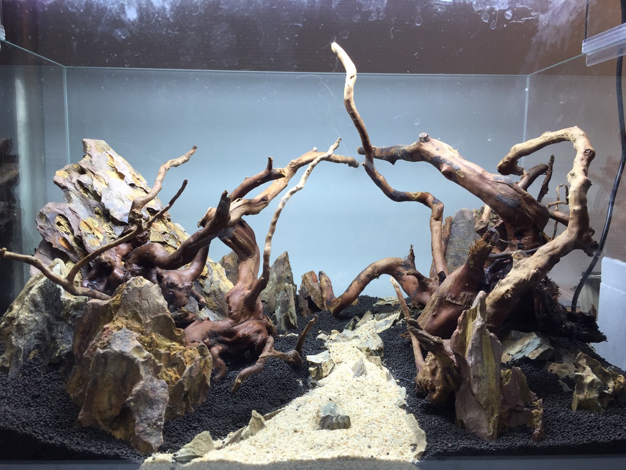 aquascape_01